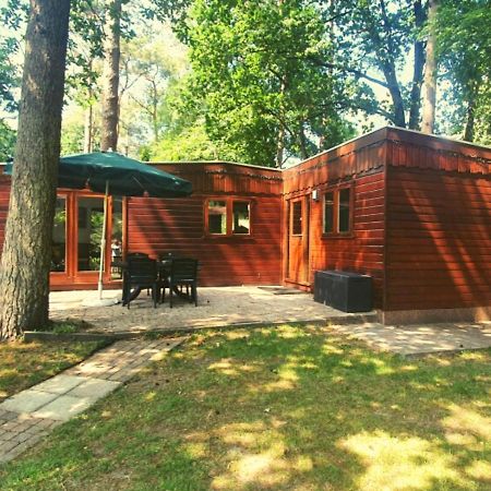 Chalet L2 Dennenrhode Doornspijk Exteriör bild